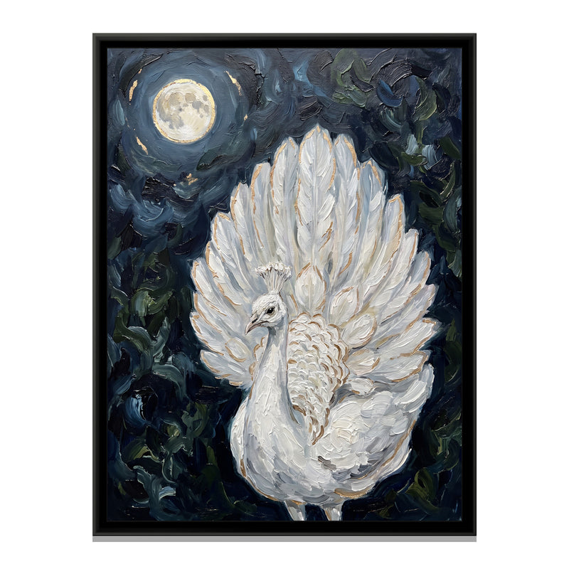 White Peacock in Moonlight - framed canvas print, front view