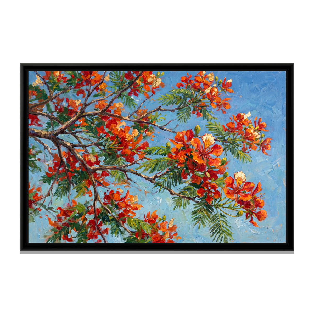 Gulmohar Canopy in Flower - framed canvas print, front view