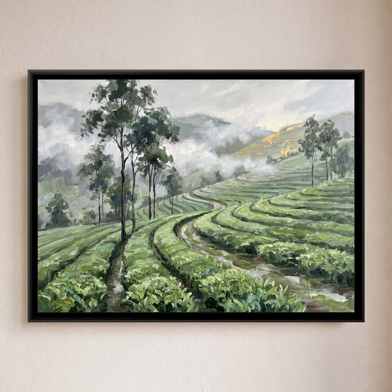 Tea Garden Hills after Rain