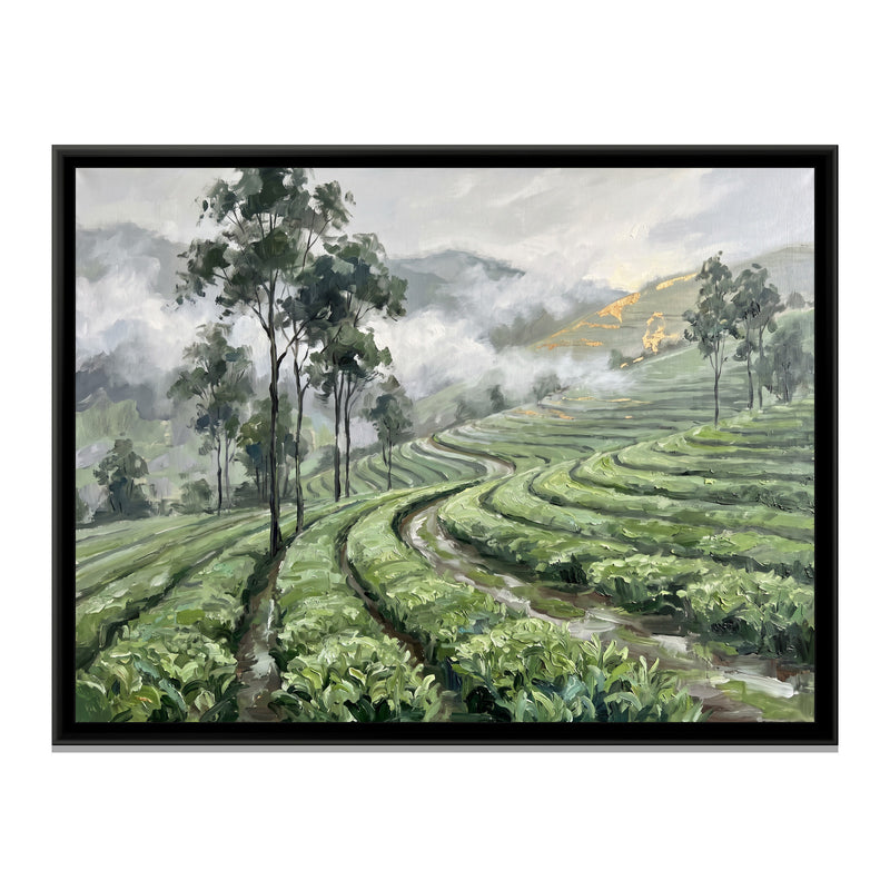 Tea Garden Hills after Rain - framed canvas print, front view
