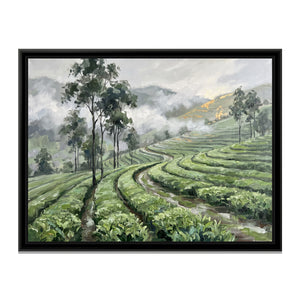 View 2 of Tea Garden Hills after Rain