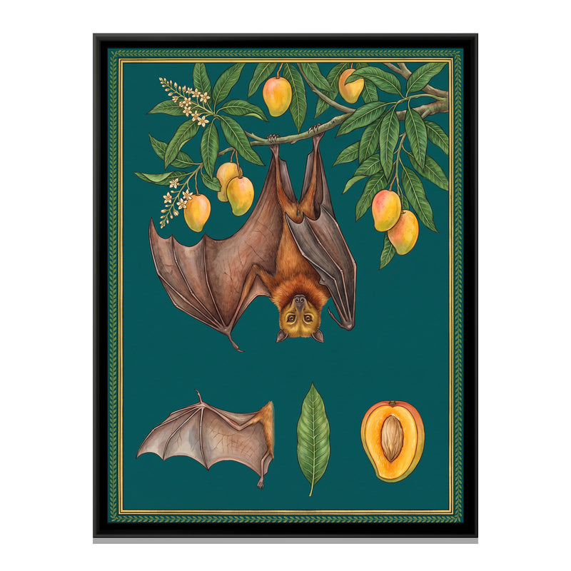 Flying Fox and Mango Branch Study on Deep Teal - framed canvas print, front view