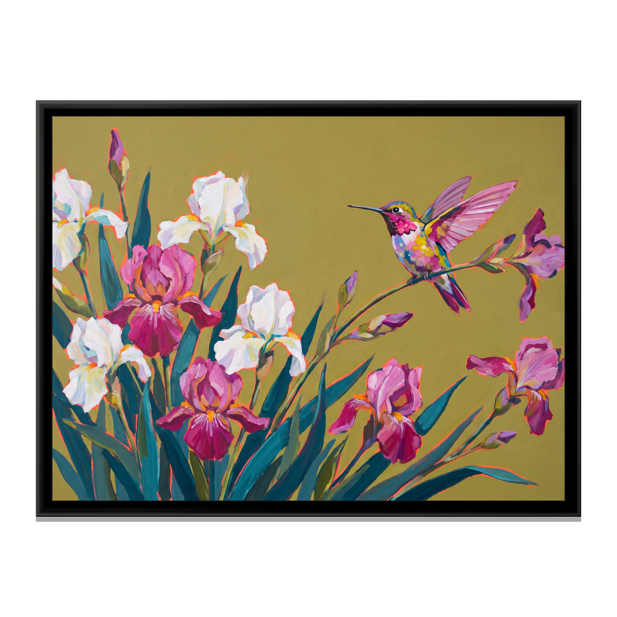 Perched Hummingbird and Irises - framed canvas print, front view