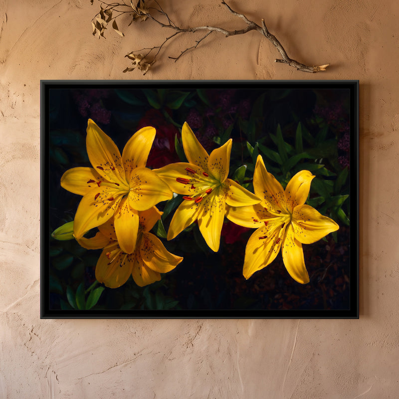 Luminous Golden Lilies - framed canvas art hung on a wall