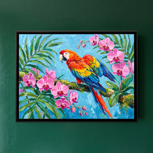 View 1 of Macaw in the Canopy