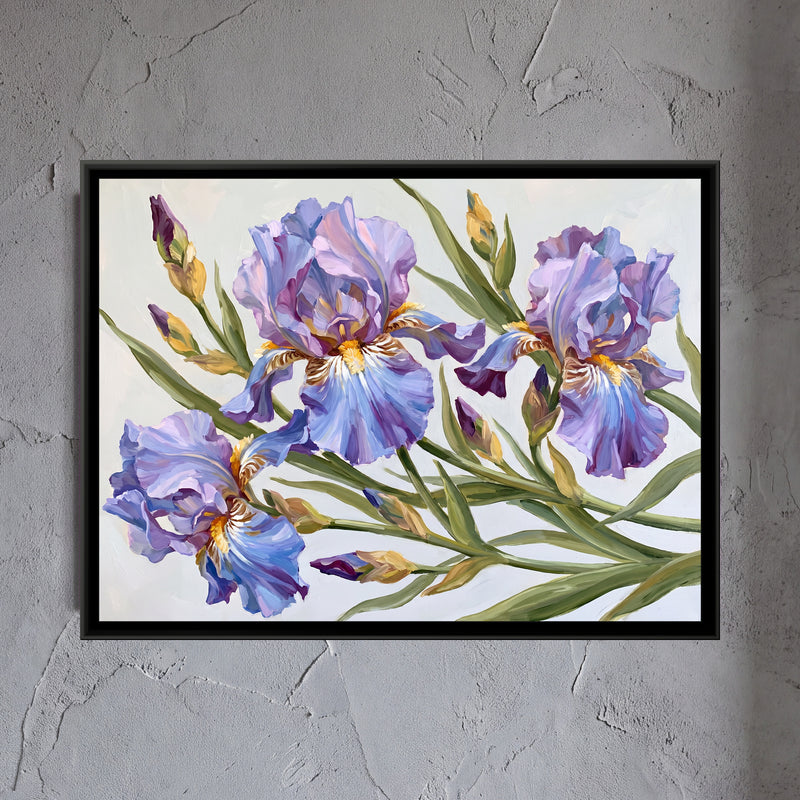 Azure and Lilac Irises - framed canvas art hung on a wall