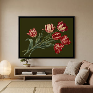 View 3 of Striped Tulips Scattered