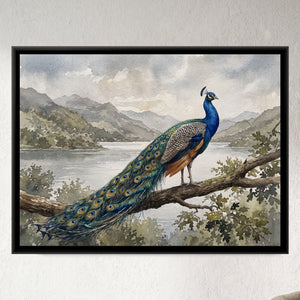 View 1 of Peacock on the Overlook Branch