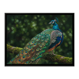 View 2 of Regal Plumes in the Glade