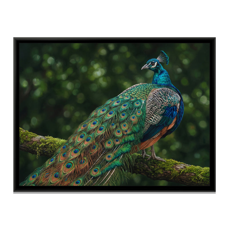 Regal Plumes in the Glade - framed canvas print, front view